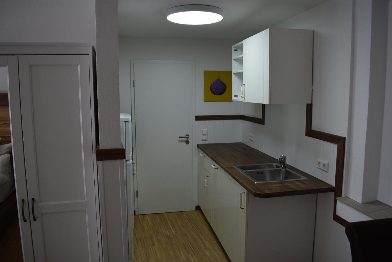 Apartments Mit Klimaanlage Am Neckarufer, Schoene Aussicht Бад-Фрідріхсхалль Екстер'єр фото